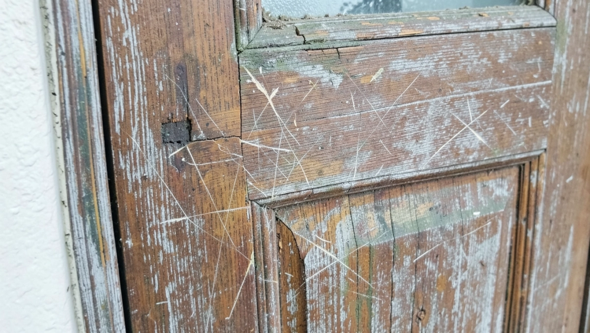 czym pomalować drzwi drewniane