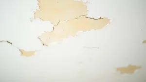 Błędy przy malowaniu sufitu