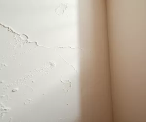 co po tynkach cementowowapiennych