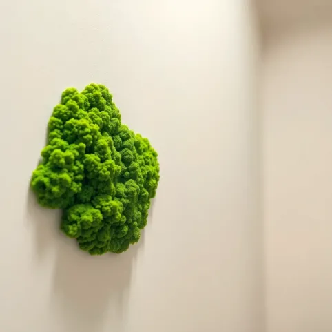 czy od grzyba na ścianie można zachorować