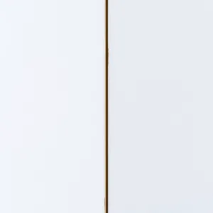 Czy Trzeba Gruntować Płyty Gipsowe Przed Malowaniem