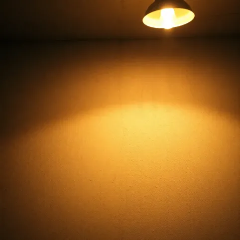 Czym pomalować ściany w piwnicy