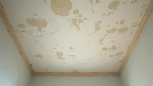 czym pomalować sufit