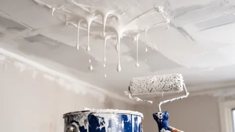 farba do malowania sufitu