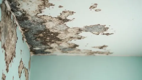 farba do malowania sufitu w łazience