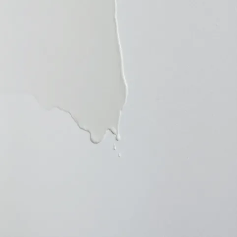 Ile schnie tynk silikonowy