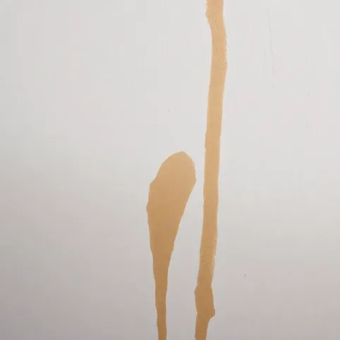 jak zmyc zacieki ze ściany