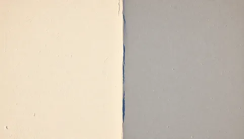 Jaka farba na elewację akrylowa czy silikonowa