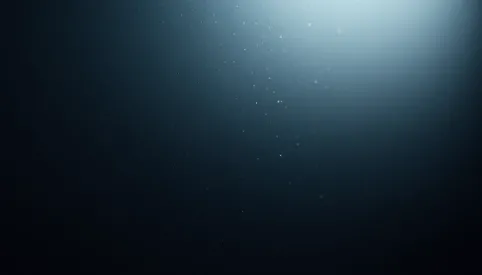 Jaki brokat do czarnej farby