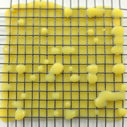 Malowanie kleju do siatki