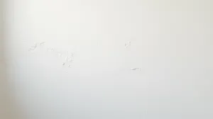 Po jakim czasie gładź na tynk gipsowy