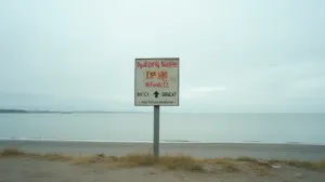 Położenie gładzi cena