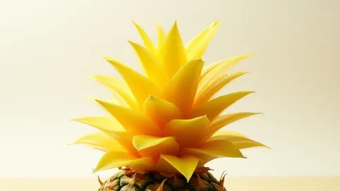 Ścianki działowe na piankę