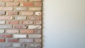 Tynk silikatowy a silikonowy