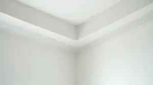 malowanie odcinanie sufitu