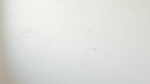 Po jakim czasie gładź na tynk gipsowy